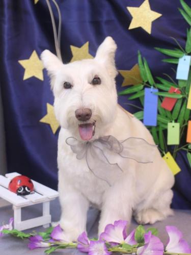 20230708ムーミンくん